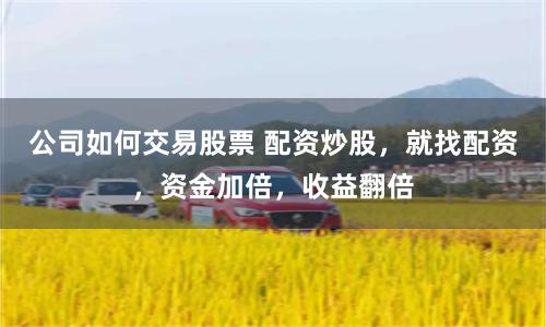公司如何交易股票 配资炒股，就找配资，资金加倍，收益翻倍