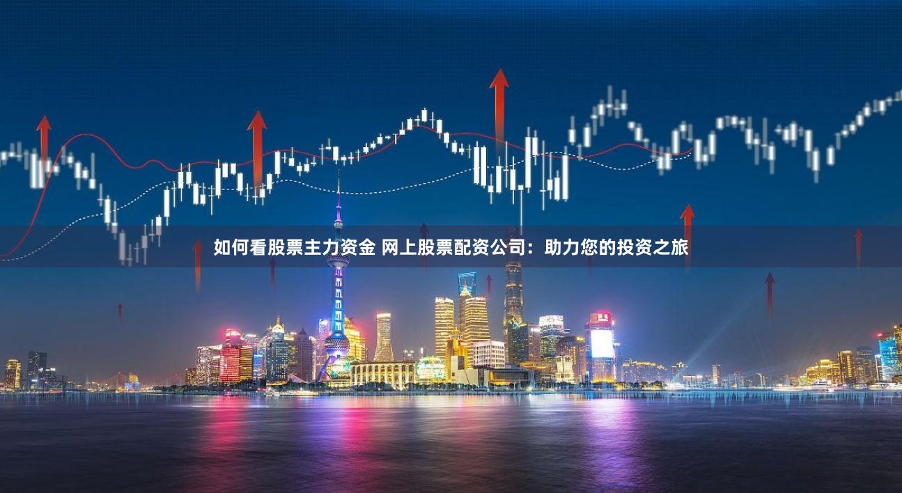 如何看股票主力资金 网上股票配资公司：助力您的投资之旅